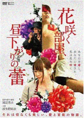 大夜电影完整版:迷雾森林